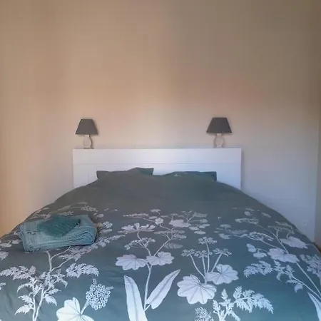 Сasa de vacaciones Grande Maison Mariakerke *